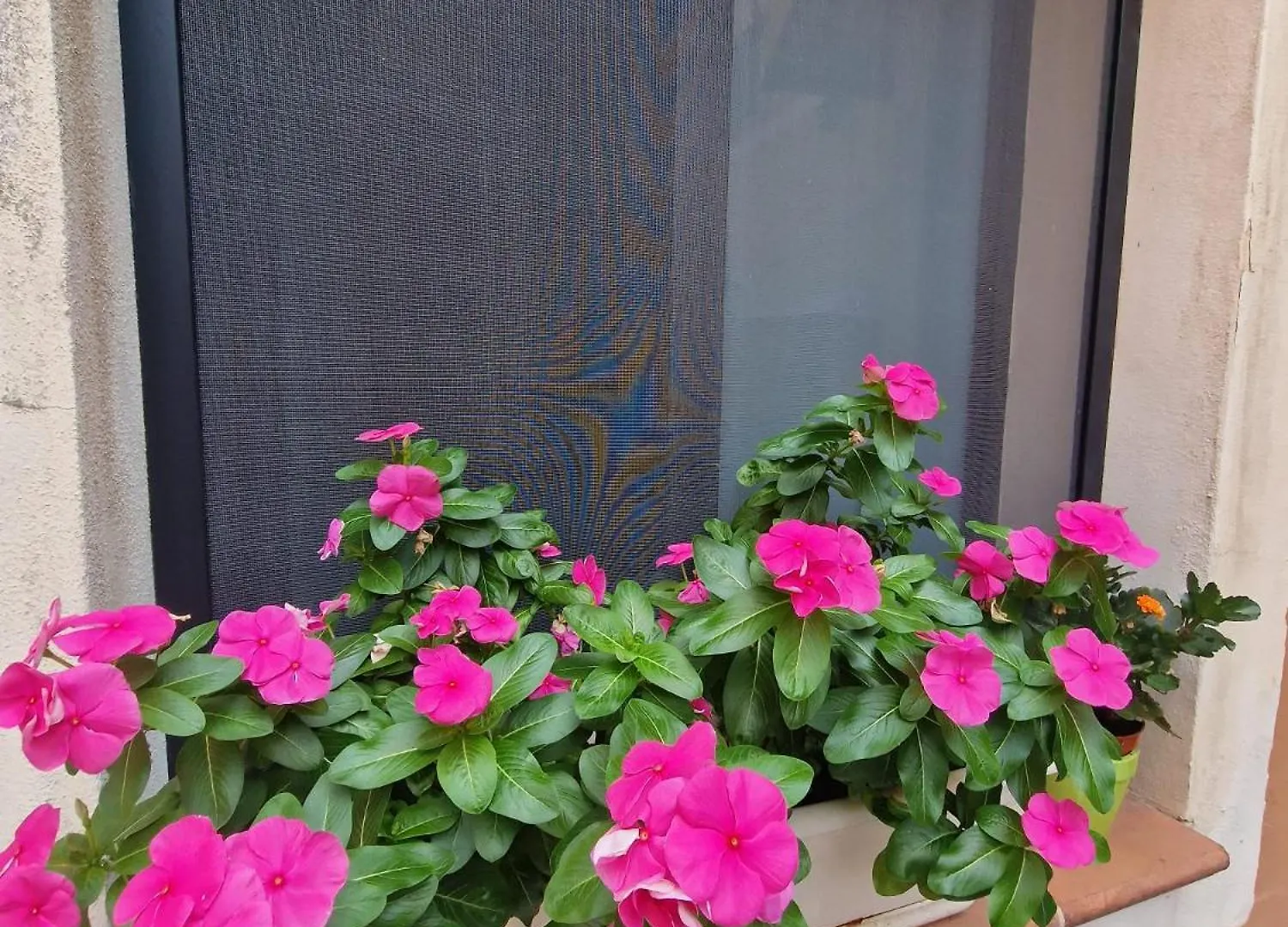 Lucky House Villa Catania Italy